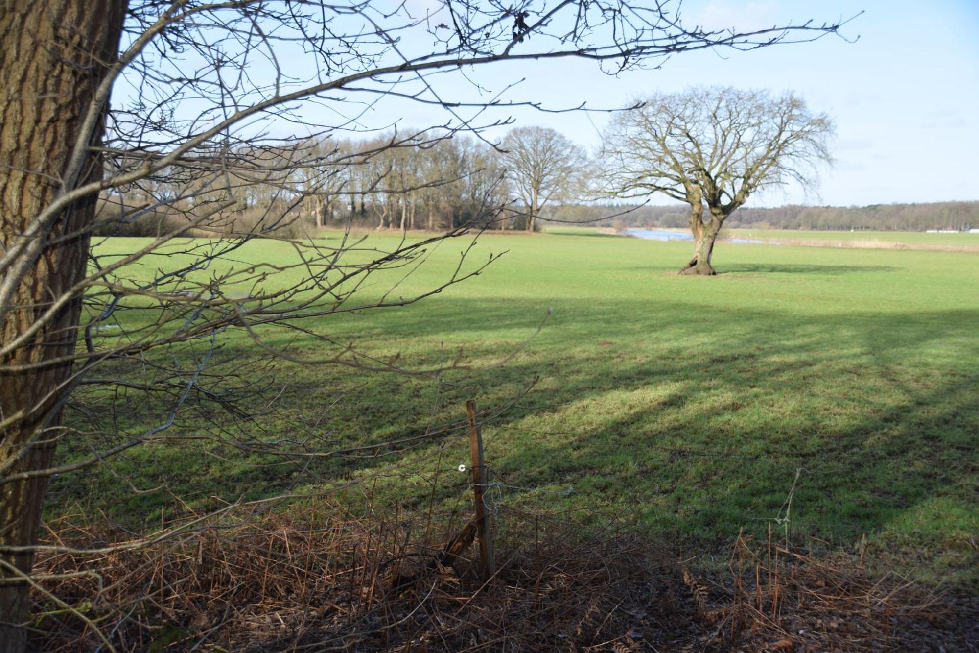 Vakantiehuis De Veldhoen Vrijgelegen Nabij De Rivier De Vecht Beerze 外观 照片