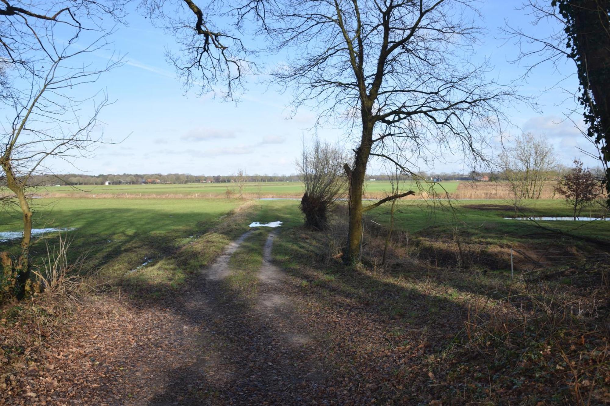 Vakantiehuis De Veldhoen Vrijgelegen Nabij De Rivier De Vecht Beerze 外观 照片
