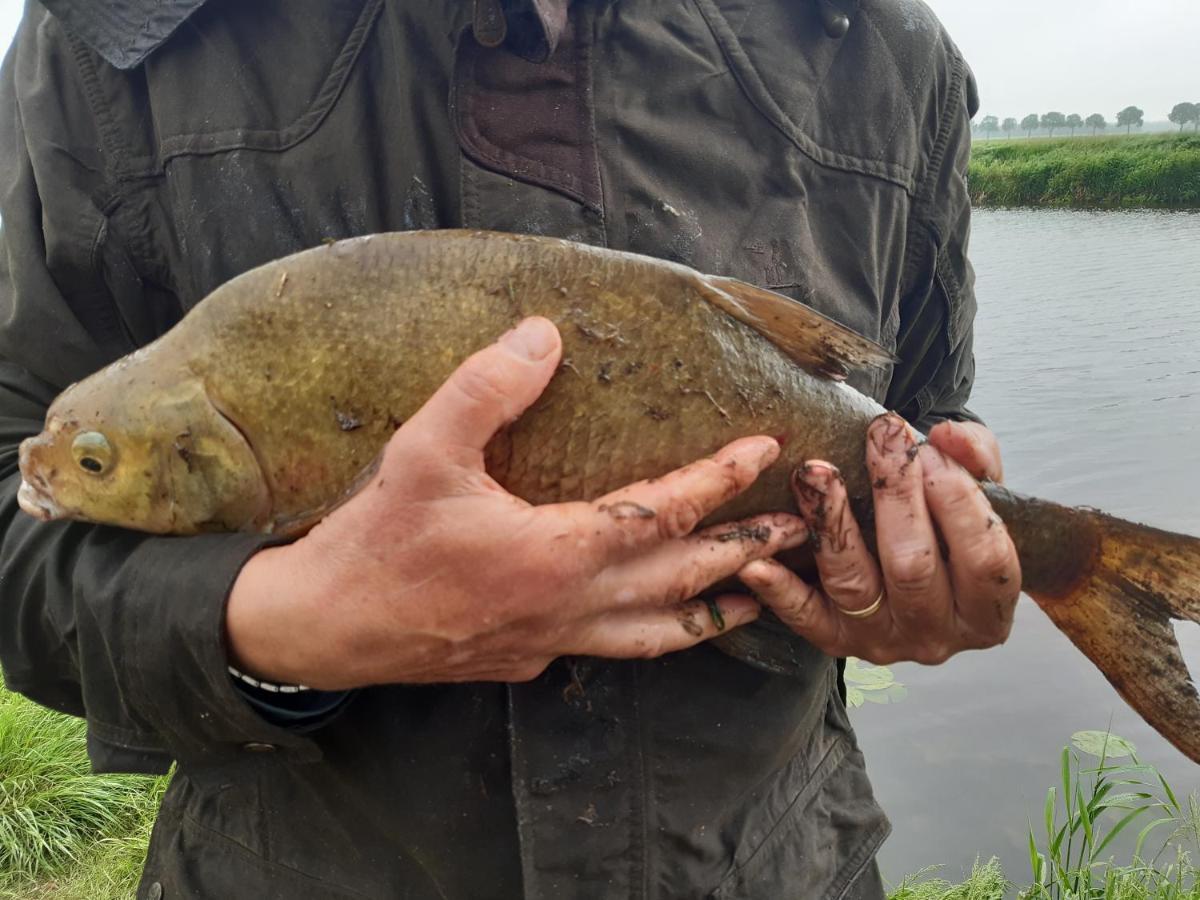 Vakantiehuis De Veldhoen Vrijgelegen Nabij De Rivier De Vecht Beerze 外观 照片